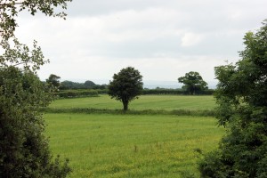 wadswick green6