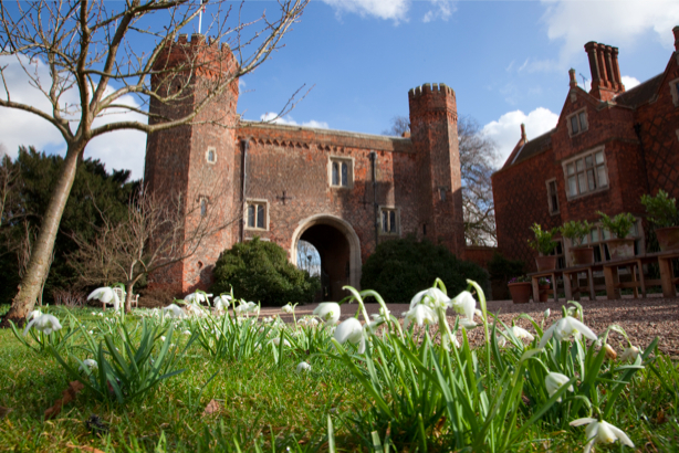 Glorious Galanthus
