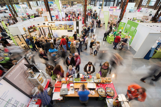 Being Vegan for 47 Years Has Kept Me Fit and Healthy