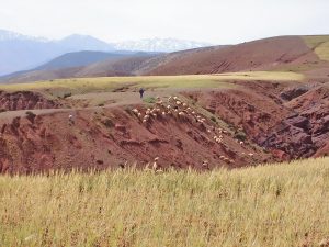 Hills near Kasbah Angour