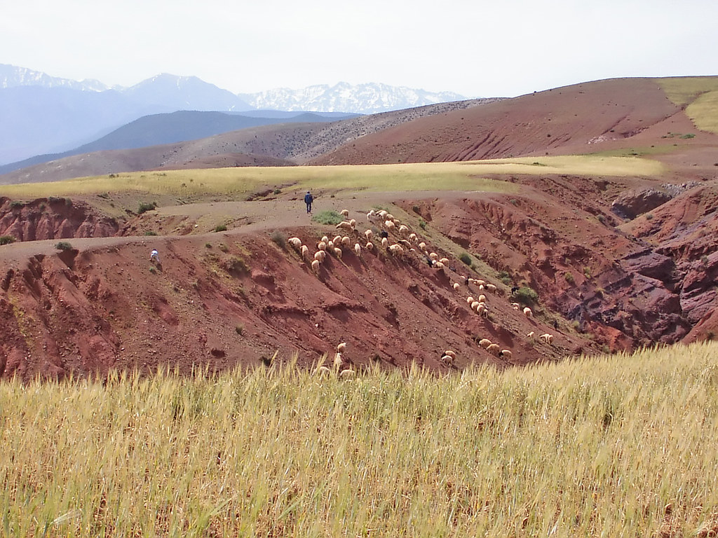 Hills near Kasbah Angour