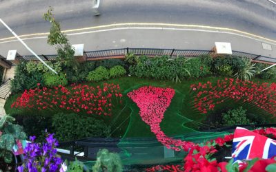 Handmade poppy displays for Remembrance Sunday