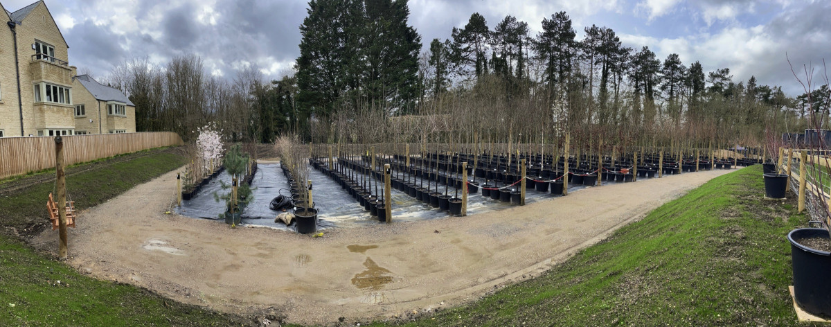 Award-winning retirement-village group creates tree nursery