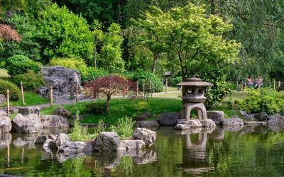 Celebrate spring with wellbeing walks at Riverstone